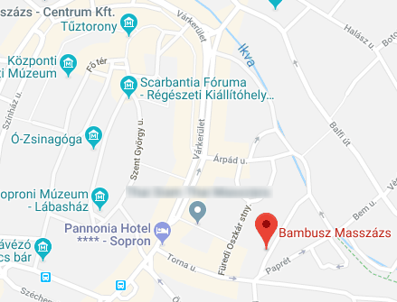 Google Map static image